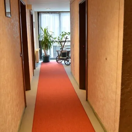 Отель Zum Brunnen