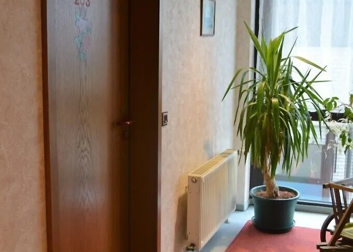 Отель Zum Brunnen 2*