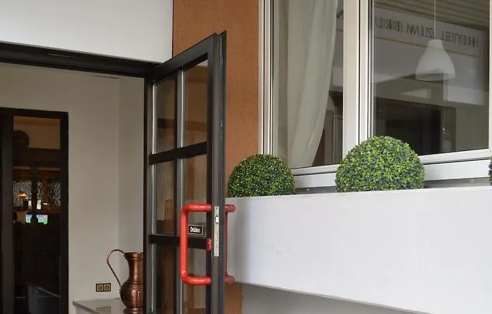 Отель Zum Brunnen 2*