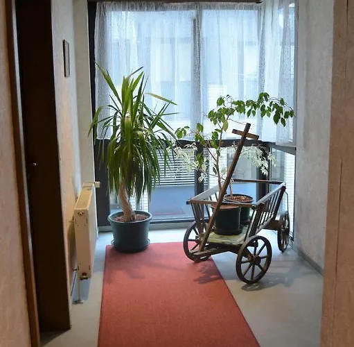 Zum Brunnen Штайнбах-ам-Таунус